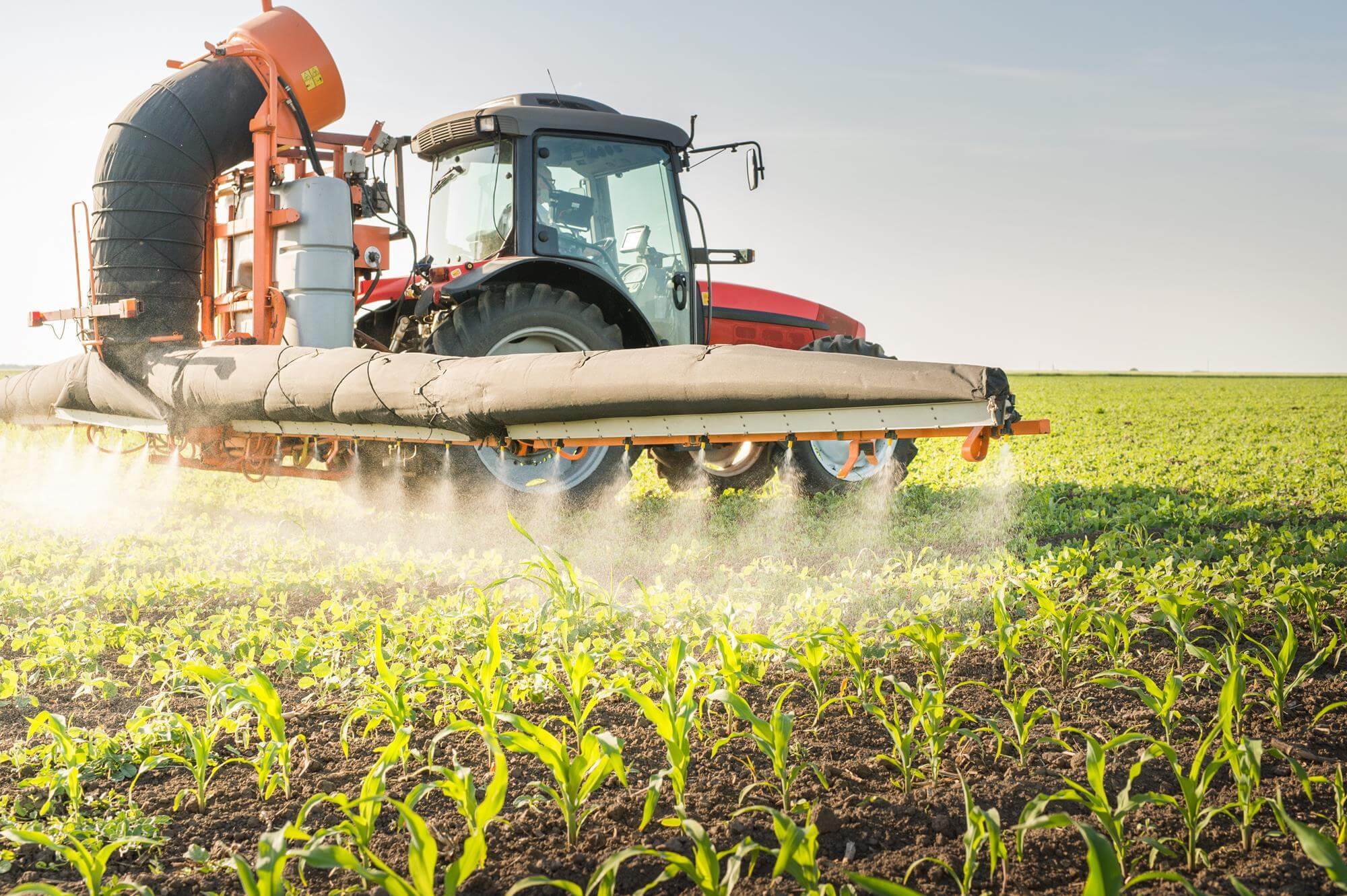 organic insecticides and pesticides